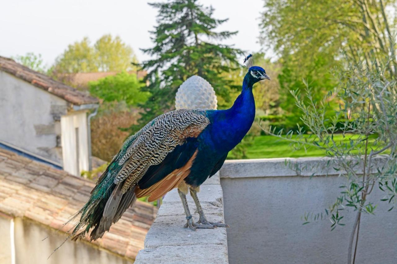 Bastide De Bellegarde Bed and Breakfast Avignon Exteriör bild
